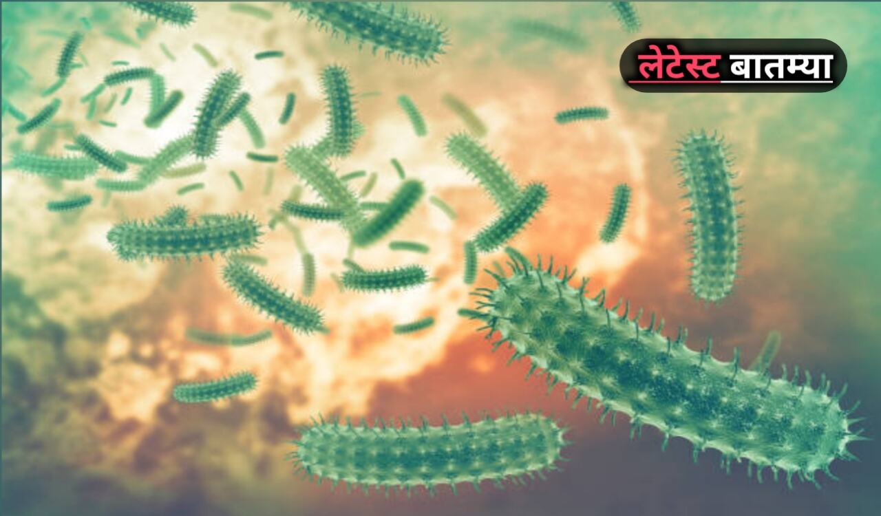 GBS In Maharashtra: वाढत्या रुग्णांमुळे मोदी सरकारचा निर्णय