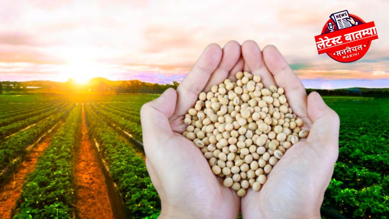 Soybean kharidi साठी मुदतवाढ! शेतकऱ्यांना मिळाला मोठा दिलासा