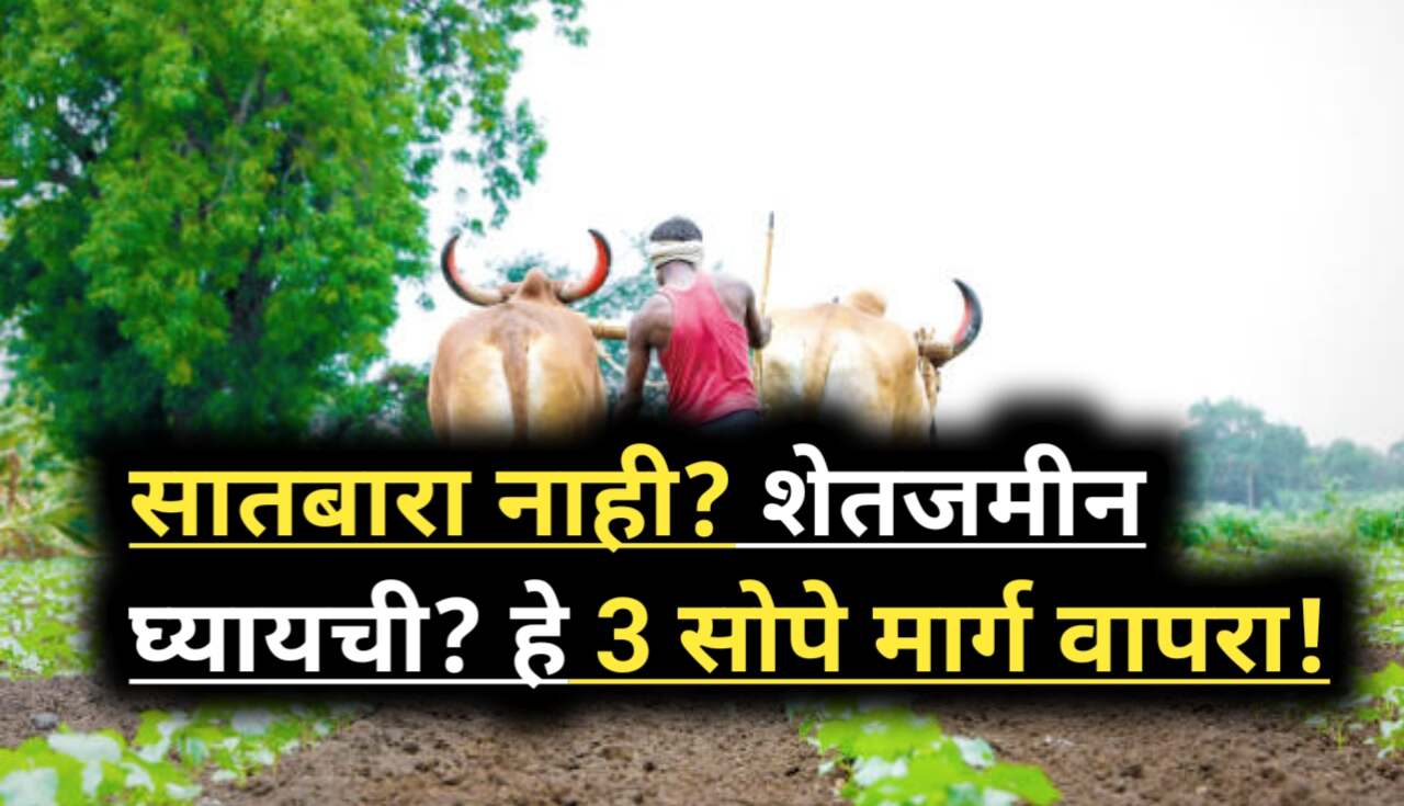 Agriculture Land: सातबारा नाही? पण शेतजमीन घ्यायची आहे?...