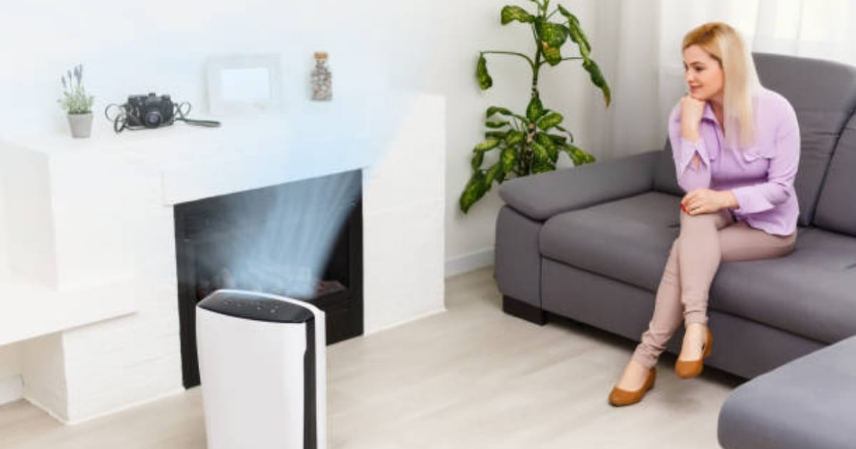 How Can I Purify Air Naturally at Home