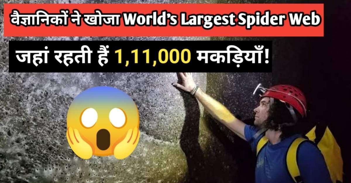 वैज्ञानिकों ने खोजा World’s Largest Spider Web, जहां रहती हैं 1,11,000 मकड़ियाँ!