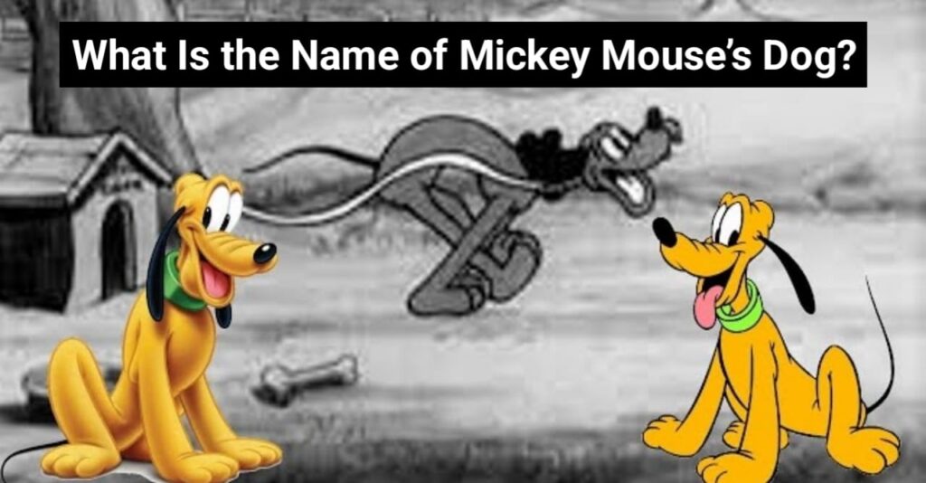 What Is the Name of Mickey Mouse’s Dog जानिए Pluto की कहानी जिसने सबका दिल जीत लिया!