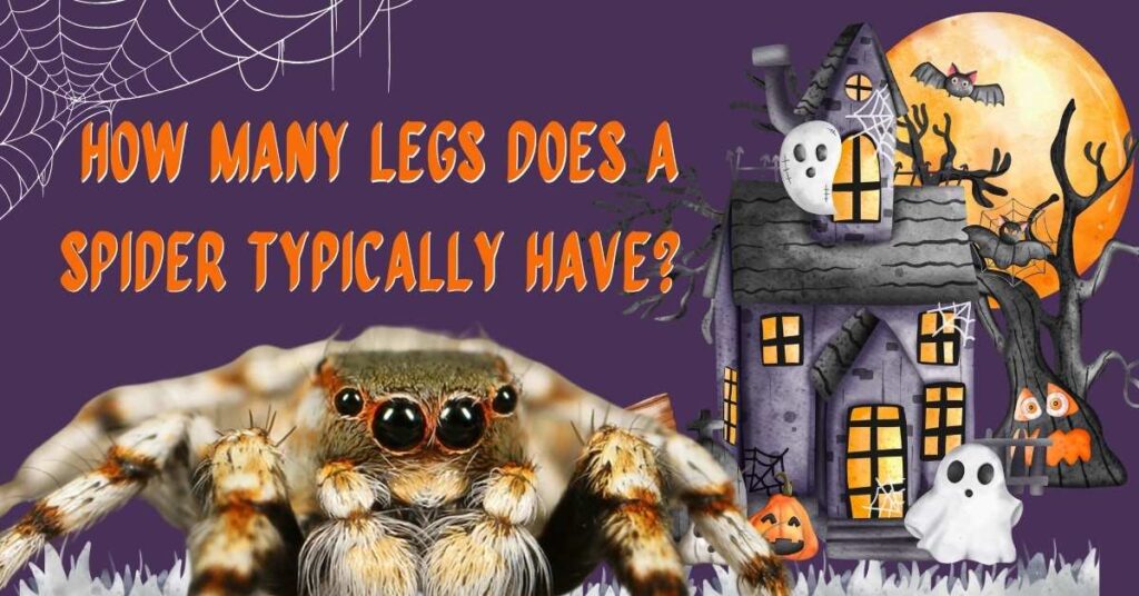 How Many Legs Does a Spider Typically Have? जानिए मकड़ी के 8 पैरों के रहस्यमय तथ्य
