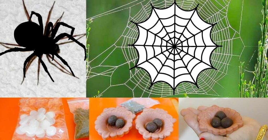 वैज्ञानिकों ने खोजा World’s Largest Spider Web, जहां रहती हैं 1,11,000 मकड़ियाँ!